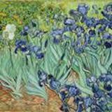 Ландшафта ДОМ