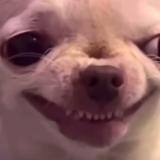 салон центрифува