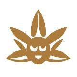 Блог сидшопа Rastishki