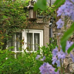 🏡Домик окнами в сад 🪴 🌳