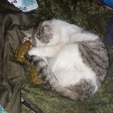 БЛОГ СРОЧНИКА РФ