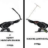 Чешир таежный и дело о еловых мандаринах