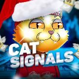Cat🐈Signals