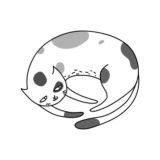 котьи секретики