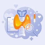 Моя здоровая щитовидная железа