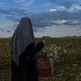 Ⲥυⲏⲧⲉⲙⲉ ⲇⲟⲅ 🌼ر