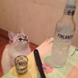 алкоголь после спорта