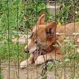 в добрые руки💛