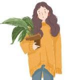 Тао закупка Отзывы/как заказать?! таобао taobao. com совместная закупка Китай