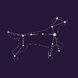 «Умка» приют для бездомных животных г. Муравленко 🐶🐈