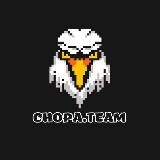 CHOPA.TEAM| Заработок