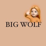 ПОСТЫ - ОТВЕТЫ | Big Wolf🐺