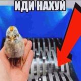 Марсочат | СИЛКСОНГ!!!