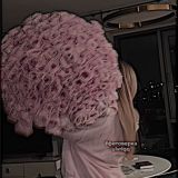 чатик фитоняшек (лицемеров)