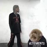 gratefulglue #ophiuroidea