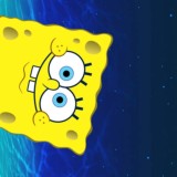 Спанч Боб в кармане