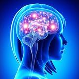 Наука и факты