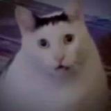 Логово Хомяка