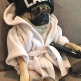 Юмор ТГ лайф (видео приколы/шутки/мемы/анекдоты/смешные)