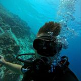 Чат Ивана Егорова и бизнес