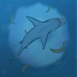 🇺🇦Акулеле🇺🇦