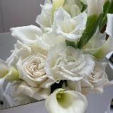 фото для твоих сторис