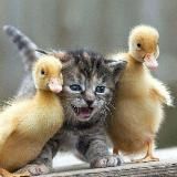 Love is… Animals ❤️