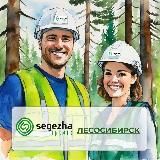 🌲 Segezha Group в Лесосибирске 🌲