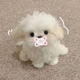 𝘈𝘓𝘐𝘚𝘈.𝘚𝘏𝘖𝘗🎀