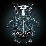 RB: CRYPTOINSECT🔹