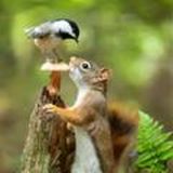 Наш удивительный мир