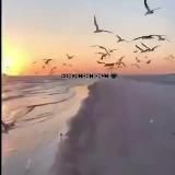 Осознанность, развитие и взаимоотношения🙏🏻