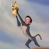 IndiaBits OT | Degens