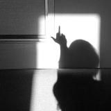 𝐥𝐥𝐚𝐦𝐨𝐮𝐫.𝐯