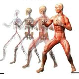 ❗ЛФК ФИТНЕС ДИЕТОЛОГИЯ РЕАБИЛИТАЦИЯ МАНУАЛЬНАЯ ТЕРАПИЯ БИОХИМИЯ