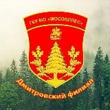 Дмитровский филиал ГАУ МО «Мособллес»