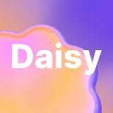 Daisy news