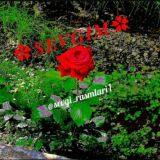 😷❤️❤️❤️❤️😷