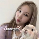 чат любимок💋💋