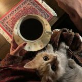 ⚡️کانال رمانهای درخواستی📚pdf