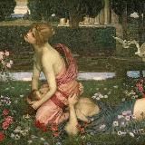 Росинки глянец на ветру