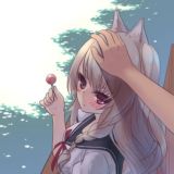 ПЕРЕХОДНИК KAMEL SOFTWARE