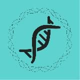 Биохакинг и саморазвитие