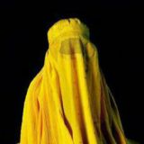 𝙰𝙽_𝙽𝚄𝚁