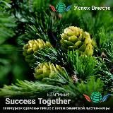 🧬Будет здоровье!🪄Будут и финансы 💰💲💵