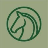 Эквирос I конная выставка