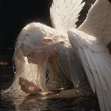 𝙂𝘼𝙔 𝙒𝙊𝙍𝙇𝘿 ( порно / 18+ / геи )