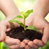 Агро оголошення 🇺🇦