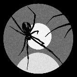 мысли вслух.