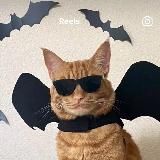 your БАЙЕР | Америка, Европа, Китай